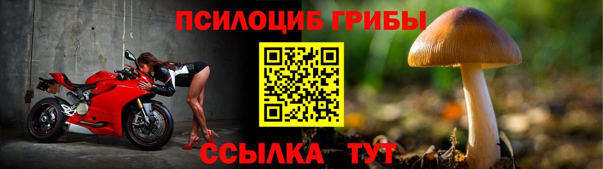 Псилоцибиновые грибы Magic Shrooms  Псилоцибиновые грибы прущие грибы  Арзамас  Вход с VPN 